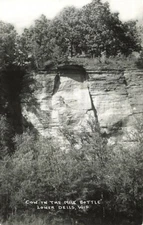 RPPC Vintage Cow In The Milk Bottle Lower Dells WI Wisconsin Real Photo P253