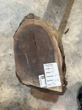 Black Walnut Slab #2170, live edge slab, unfinished, free shipping