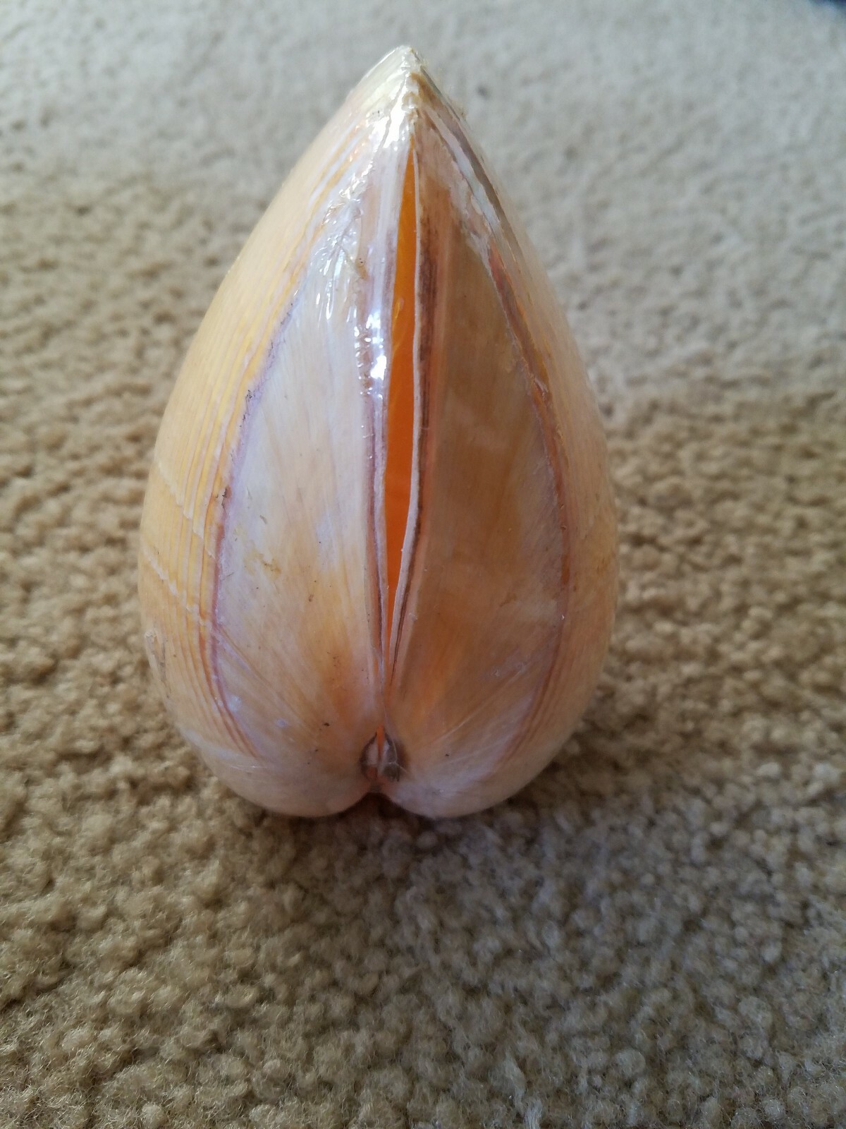 Picture 5 of 5