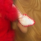 Bild 6 von 13