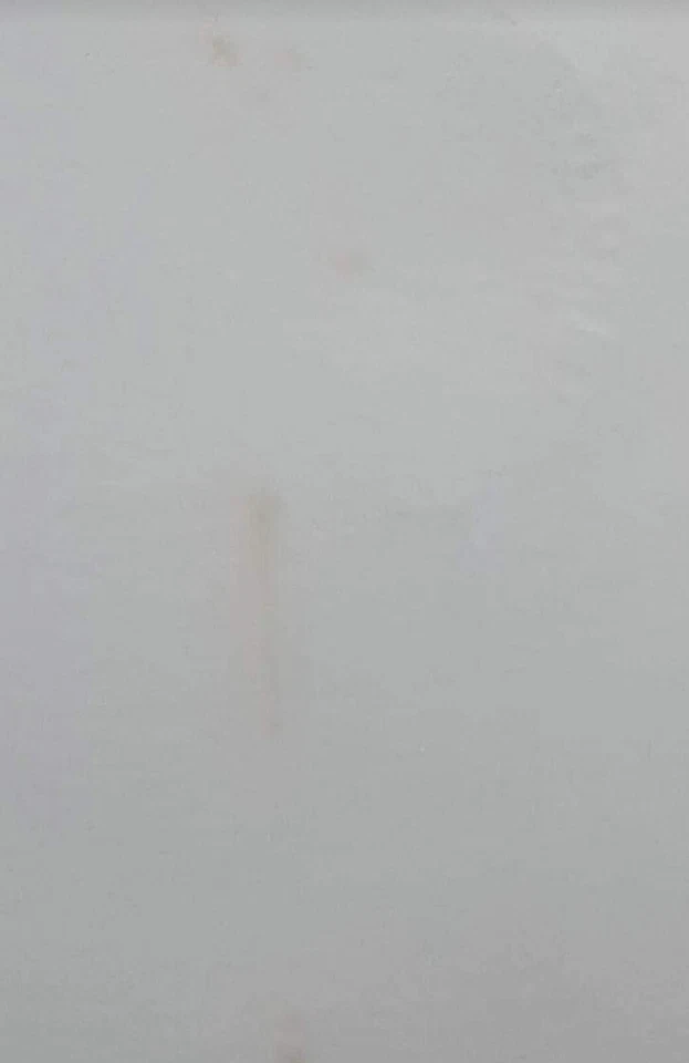 FDC ISSUED AT KUALA LUMPUR ON 18.4.1995 MALAYSIA 1995 WWF ANIMAL CLOUDED LEOPARD - Image 4 of 4