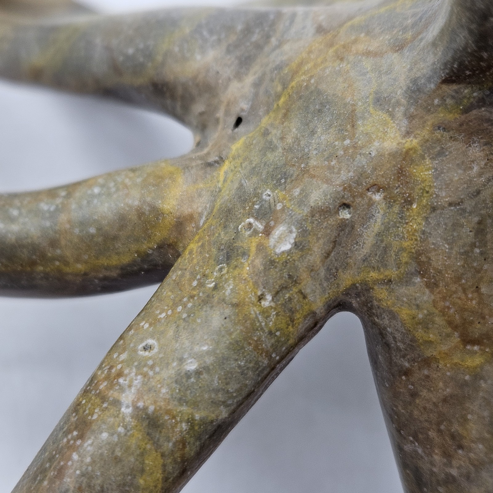 SPI Octopus - Tan Hot Patina