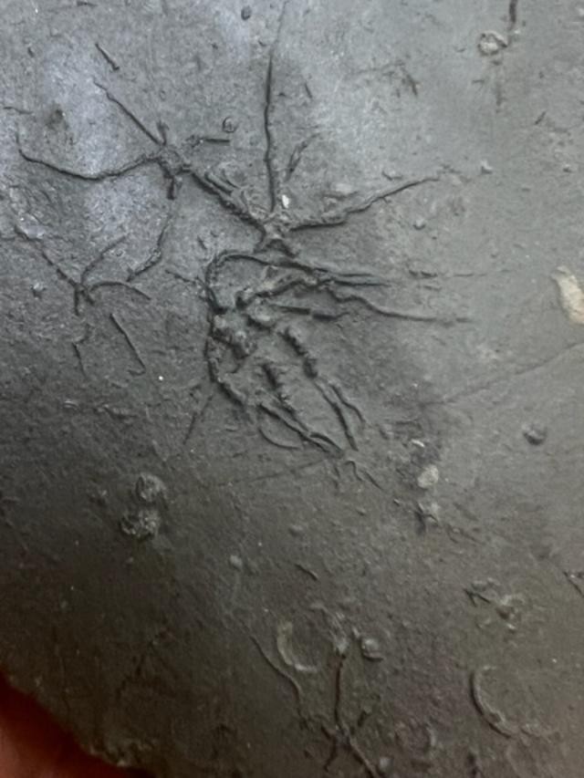 Picture 1 of 4