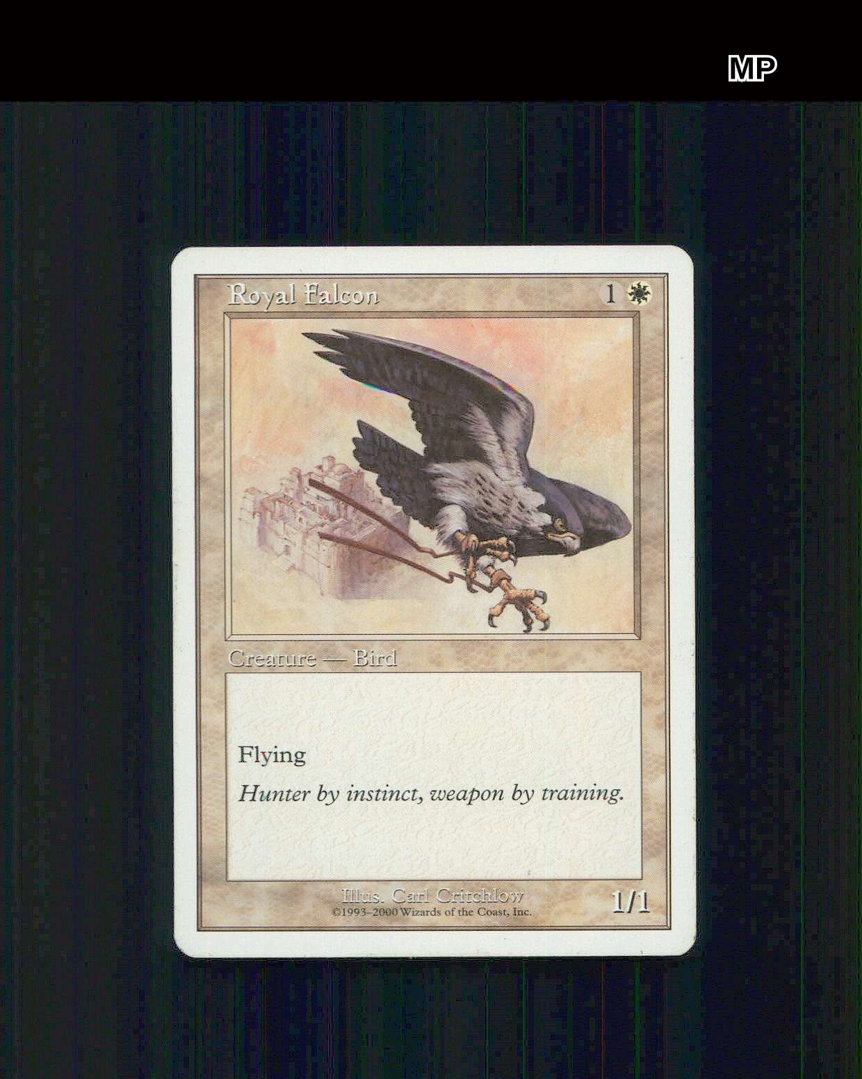 Royal Falcon - MP - 8 - S00 - EN - Starter 2000