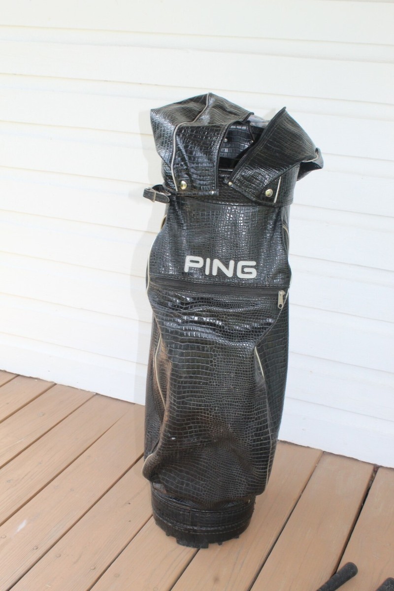 Ping Eye 2 Black Dot 2-PW Iron Set Right-Handed Steel Shafts