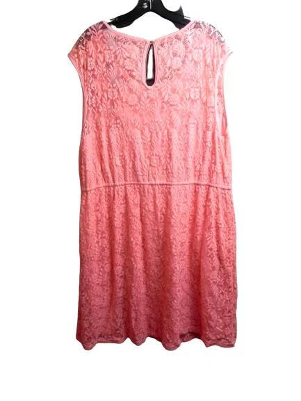 Vestido Pinky Para Mujer 3X Rosa Flor Encaje Forrado Acampanado Boho Nylon Rayón Plus Damas Foto 4 de 4