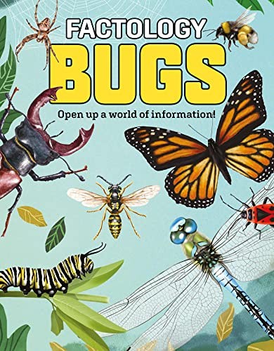 Factology Bugs: Open Up a World of Information! (Factology) - Button Books