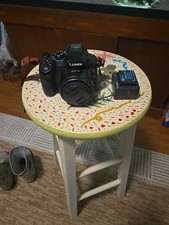 Panasonic LUMIX FZ300 12.8 MP Digital SLR Camera - Black 25-600mm...as Is