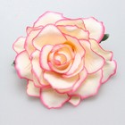 Bild 20 von 32
