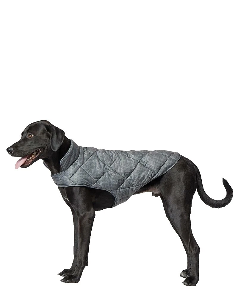 Abrigos/chaquetas Perro Nylon