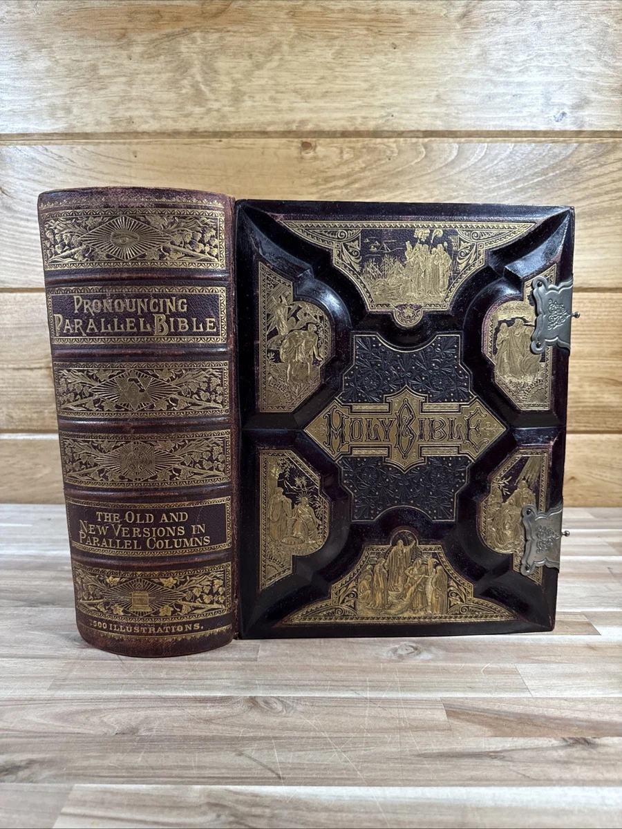 Illustrated Christianity, Bibles 1850-1899 Antiquarian