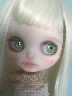 OOAK CUSTOM ICY PUPPE! Keine Blythe Puppe.