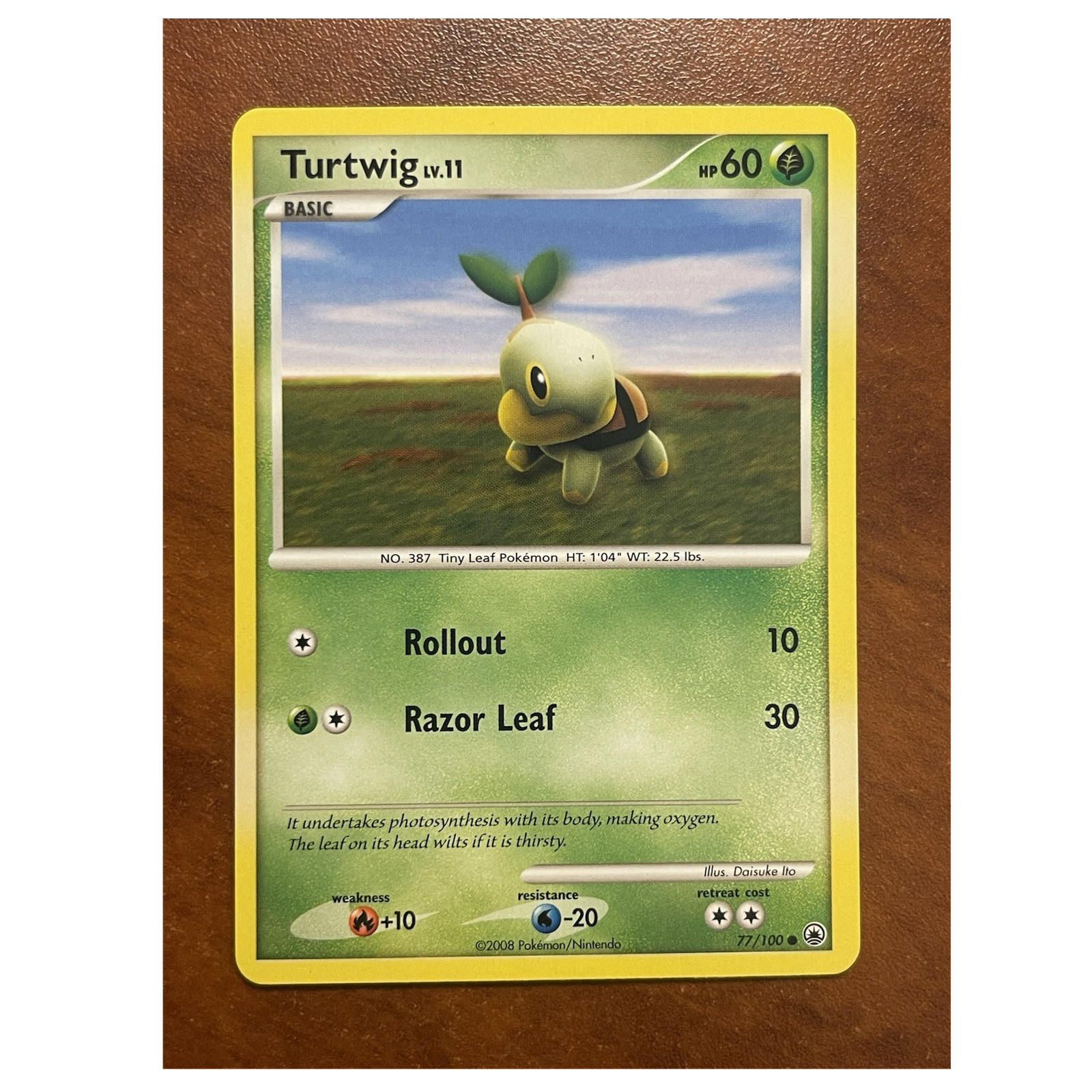 Pokémon-Turtwig-Majestic Dawn-77/100-NM