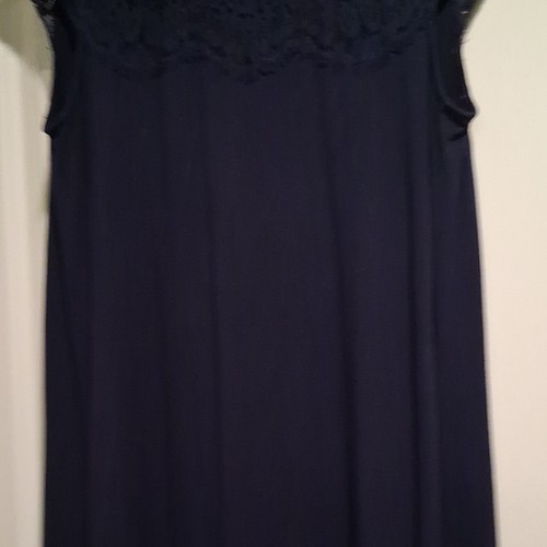 LOFT Outlet Women's Petite MP Blue Solid Sleeveless Lace Yoke Mini Dress
