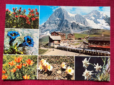 JOHN'S DEALS  - SWITZERLAND - VINTAGE MULTI-VIEW POSTCARD KLEINE SCHEIDEGG