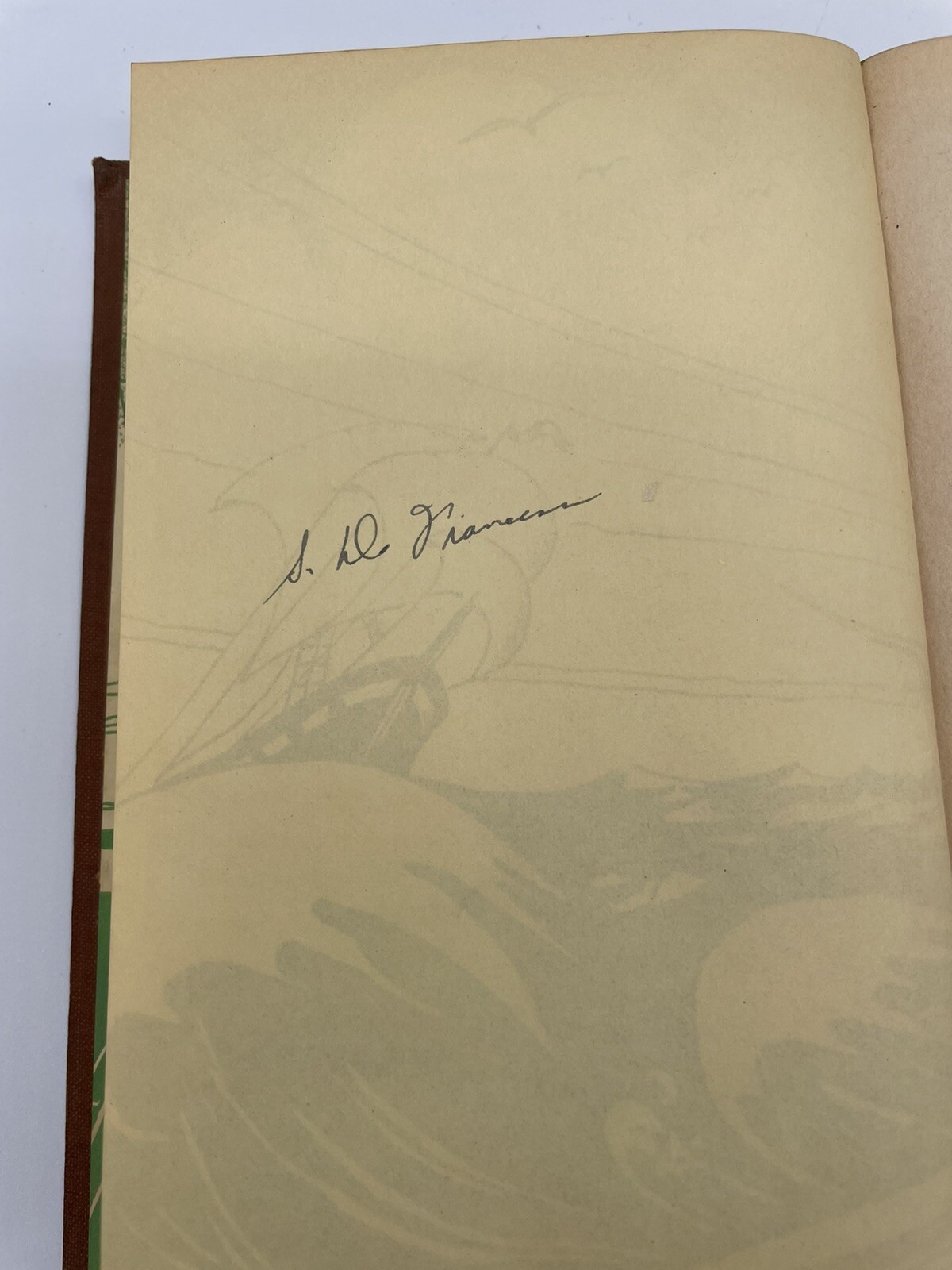 Picture 4 of 11