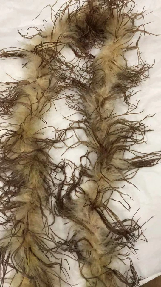 27g Marabou Boa with Ostrich Feather Accent Two Tone Boas 2 Yards 6 Feet - Image 3 of 4