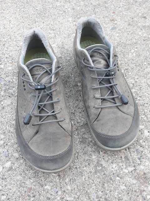 ecco mens shoes sneaker