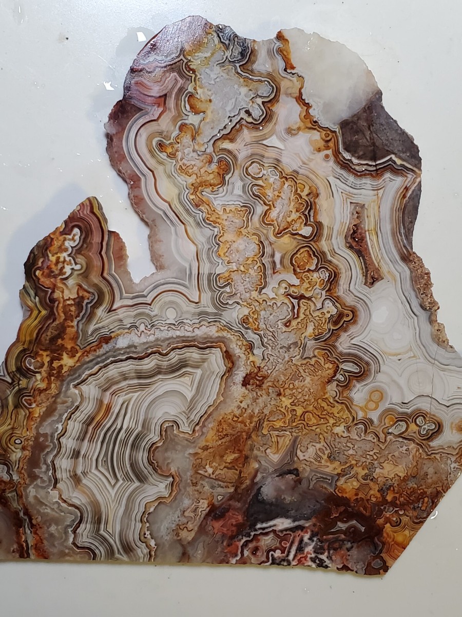 Crazy Lace Agate Laguna Lace Agate Parallax Mexico Rough 211g 6