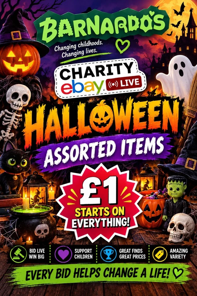 Barnardos Charity Spooky Auction Halloween Assorted Items £1 Starts