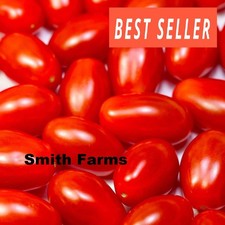 50 Seeds Juliet Tomato Tasty Juicy Easy to Grow Vegetable Garden Planting