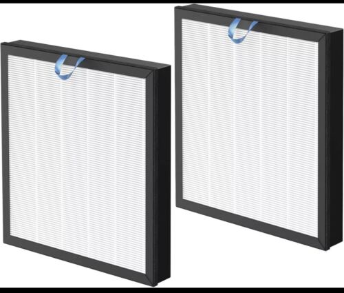 2 Pack Vital 100S True HEPA Replacement Filter Compatible 100S-Original