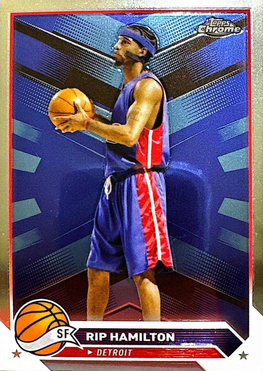 Player Rip Hamilton Jordan 14 Discount Air Jordan Rip Hamilton