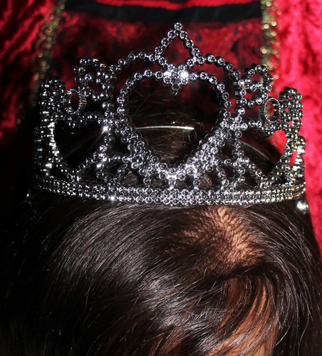 3 PC.TUDOR PRINCESS VELVET BURGUNDY/BLK FANCY DRESS FREE MASK&TIARA /SZ:LRG 8-10 - 第 8/12 張圖片
