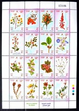 Rare Oman 2004 “Fleurs Sauvages” Haute Valeur Feuille MNH Rare