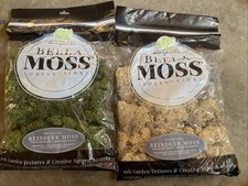Lot 2 Bella Reindeer Moss 1664020 Green 1664021 Brown Reindeer Moss