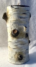 Awesome 7" Adirondack Style White Birch Tree Log Figural Candle Mountain Lodge