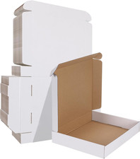 12X10X2 Inches Shipping Boxes Set of 25, White Corrugated Cardboard Box Literatu