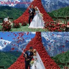 Foto 2 di 7