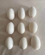 Lot- 9 Goose Eggshells
