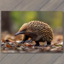 Art Print Echidna Walking Autumn Ground Brown Spikes Claws Beak Cute Critter For