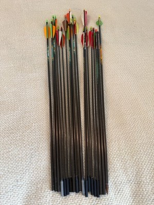Beman ICS Hunter, AFC Carbon Arrow Lot of 19