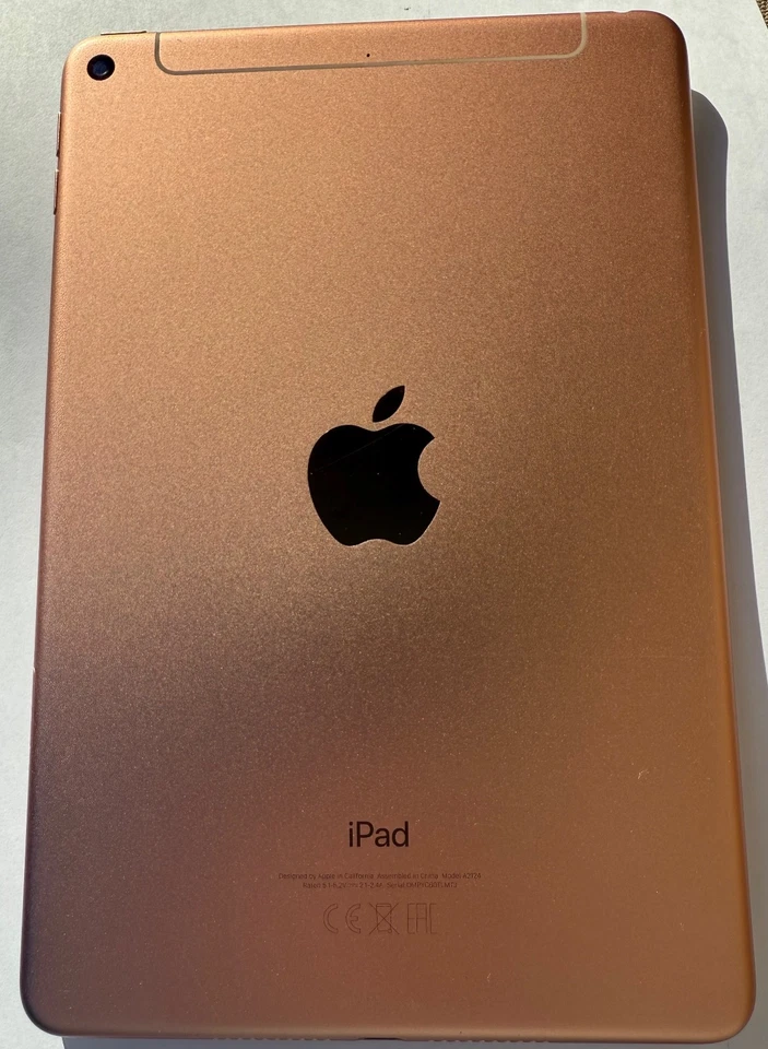 Ipad Mini 256 - S.5 + Apple Pencil 1 - (WI-Fi + cell - Color Oro 2020) - Immagine 3 di 4
