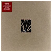 Gravenhurst - Flashlight Seasons - Vinyl Record - G3Z