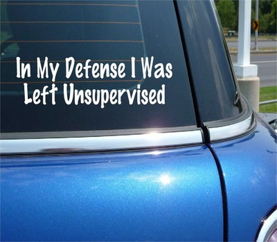IN MY DEFENSE I WAS LEFT UNSUPERVISED DECAL STICKER FUNNY AGE MATURITY CAR TRUCK