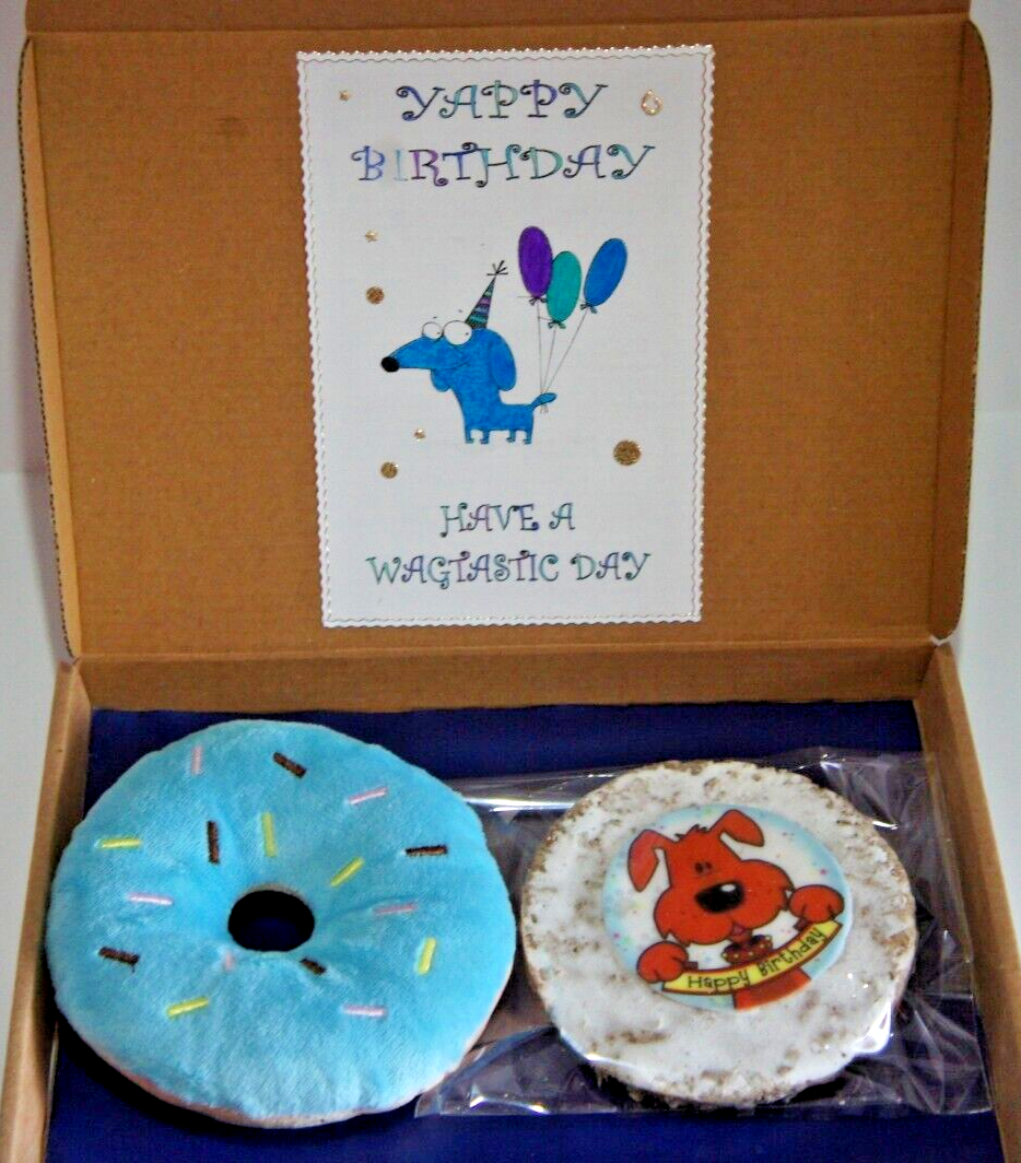 Birthday Boy Dog Gift Box With Chewy Birthday Cake Blue Plush