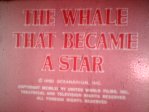 Super 8mm color SILENT 200'' THE WHALE THAT BECAME A STAR Original Box - Picture 3 of 21