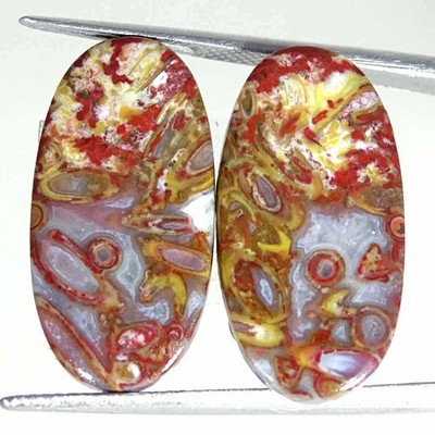 17.40Cts Natural Red Palm Root Agate Oval Pair Cabochon Loose Gemstone 12x23x3mm