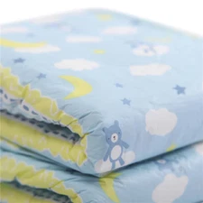 *2 PC* Little for Big Little Dreamers Adult diaper Sampler