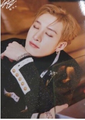 STRAY KIDS Xmas POPUP POP UP JAPAN RANDOM TRADING PHOTOCARD STRAY KIDS Xmas POPUP POP UP JAPAN RANDOM TRADING PHOTOCARD
