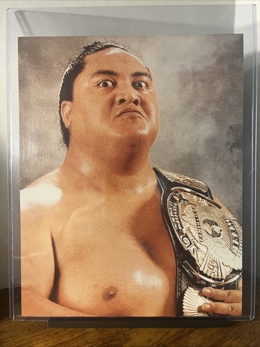 YOKOZUNA WINGED EAGLE BELT BLOODLINE 8 X 10 GLOSSY WRESTLING WWE WWF
