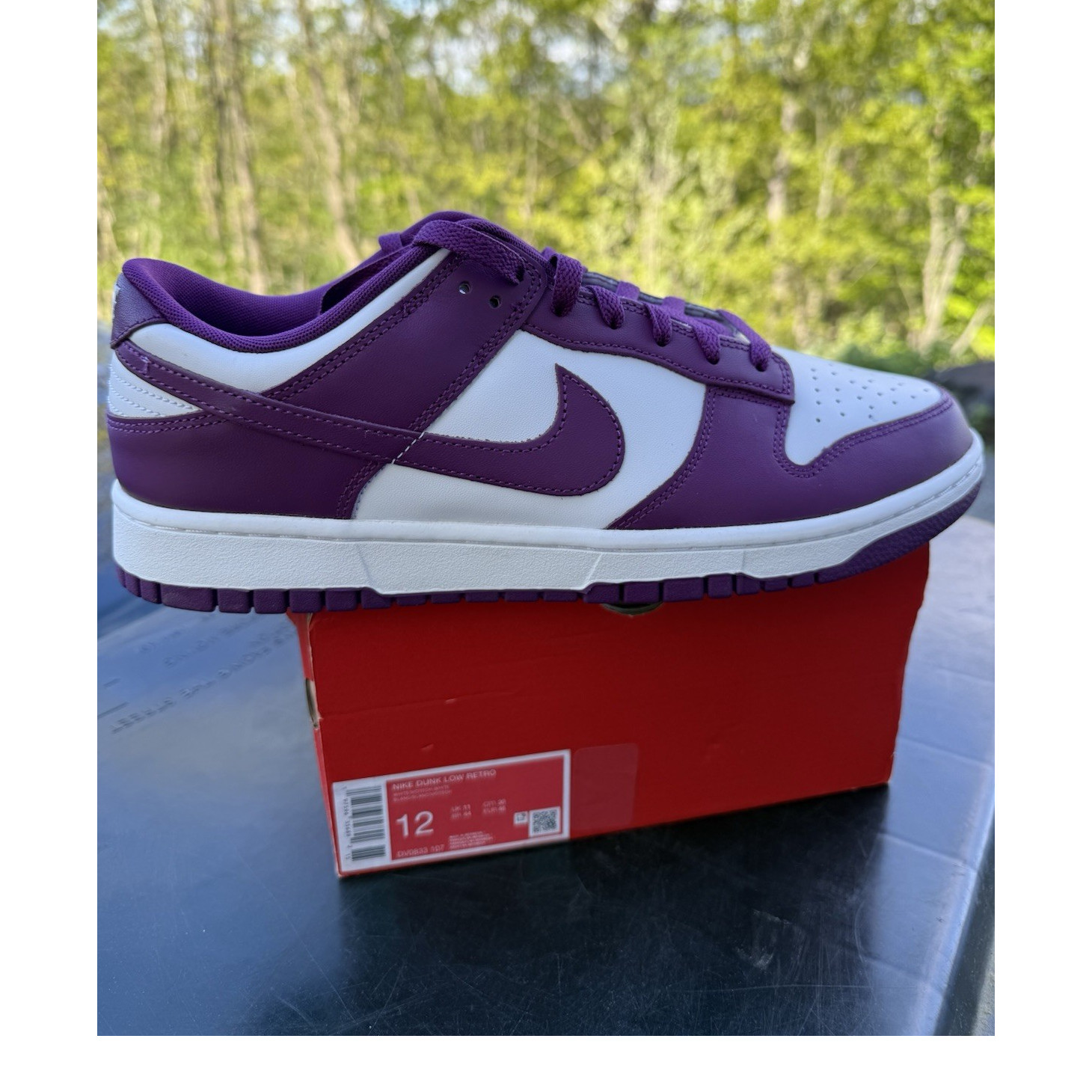 (New) 12M Nike Dunk Low Retro Viotech Violet Sneakers DV0833-107