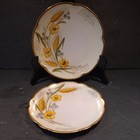 Pair Pickard Hand Painted Cabinet Plates 1905-10 signed Anton Beutlich — photo 1