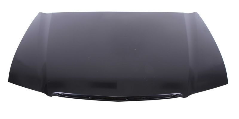 Bonnet (steel) for: HONDA ACCORD VII 10.02-09.05