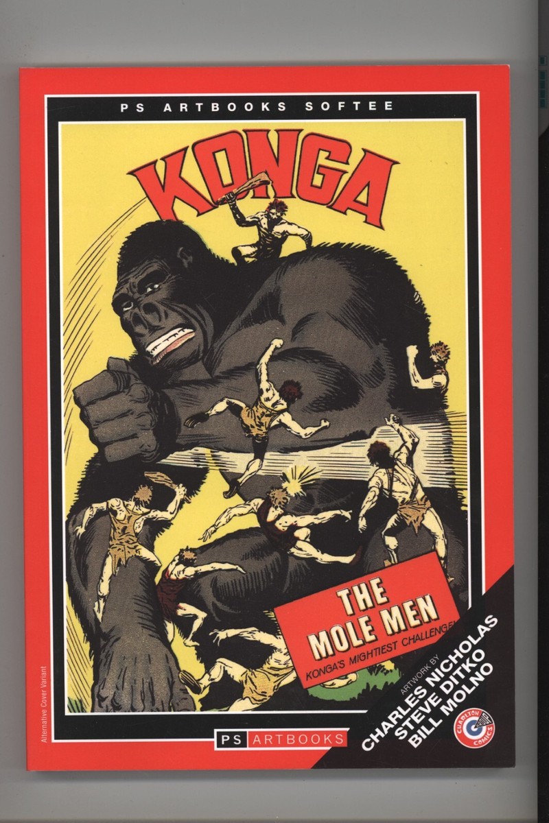 KON様 日本でハンドメイドされたKEN OKUYAMAのスーパーカー「kode57」と