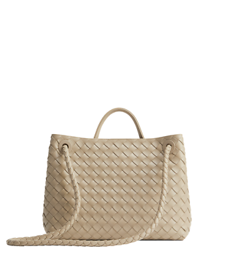 BOTTEGA VENETA Andiamo Medium $5700 Ecru Leather Top Handle Bag